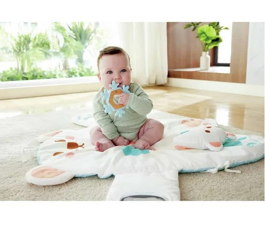 Snuggle Bear Activity Gym