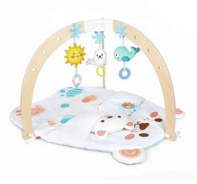 Snuggle Bear Activity Gym