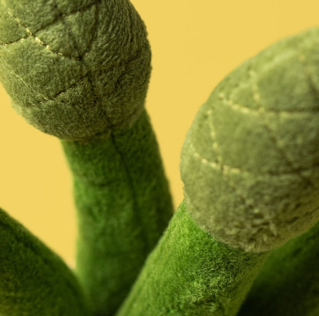 Amuseables Asparagus