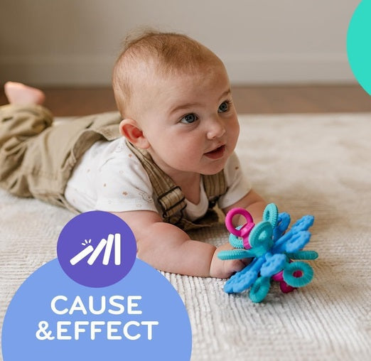 Okee Sensory Toy