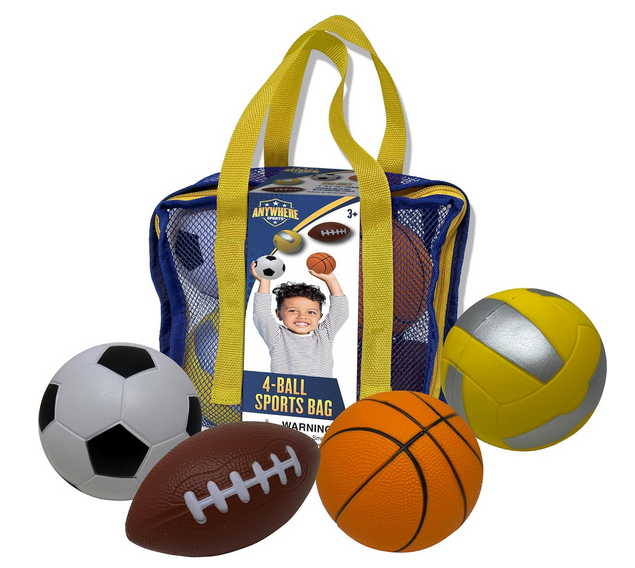 4 Ball Sports Bag