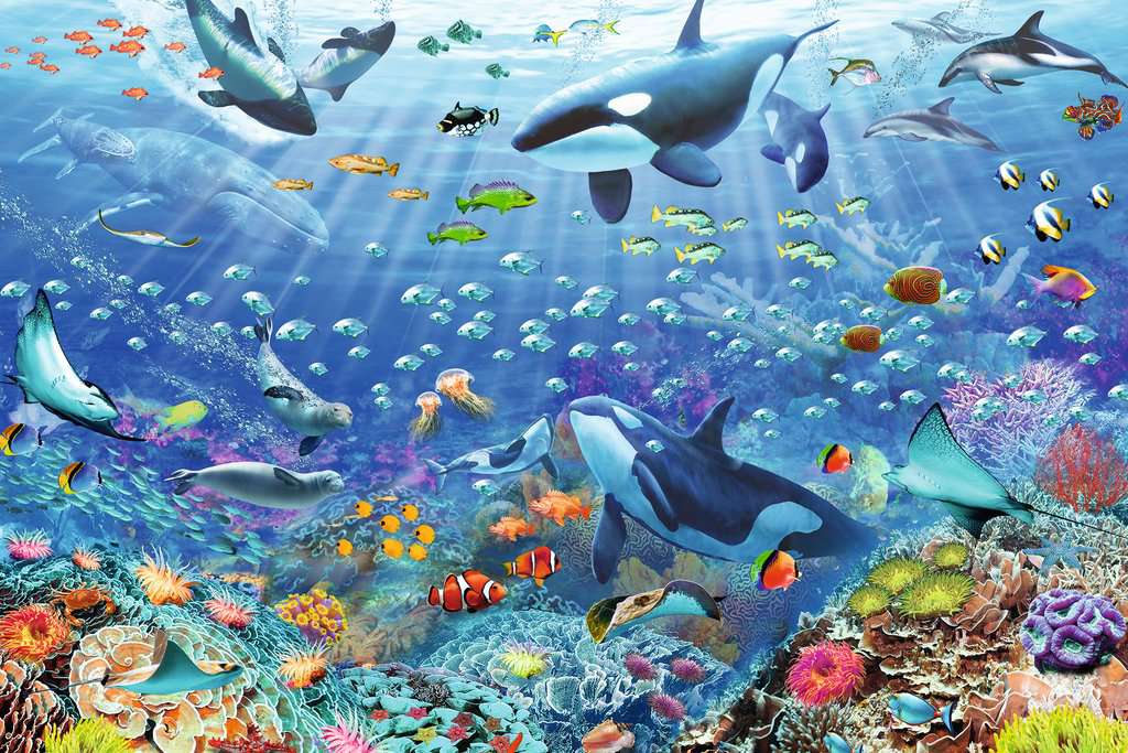 Colorful Underwater World 3000 pc Puzzle
