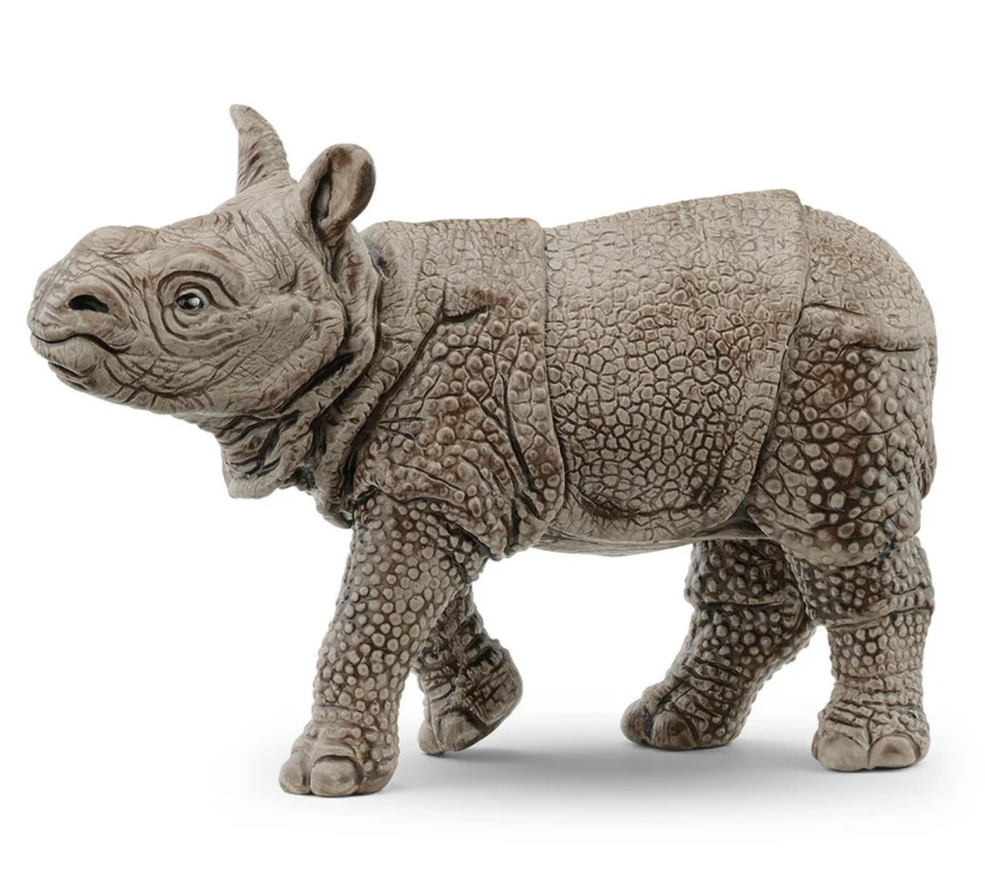 Indian Rhinoceros Baby