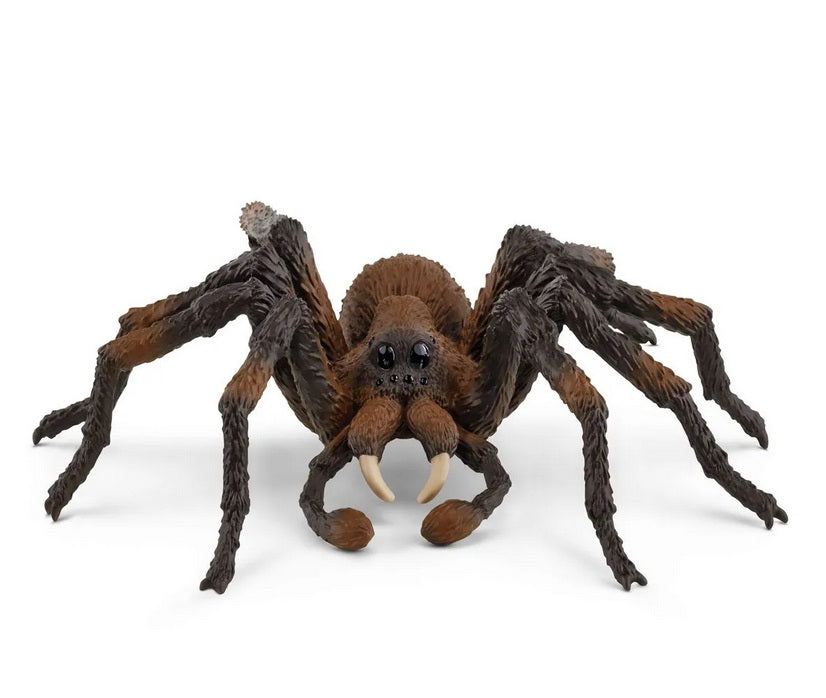 Schleich Harry Potter Collection Aragog — Busy Bee Toys