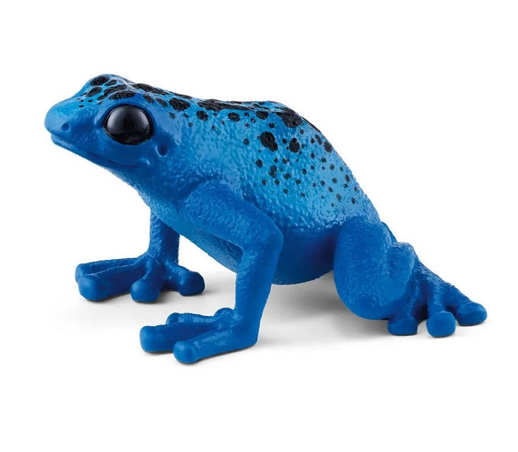 Poison Dart Frog