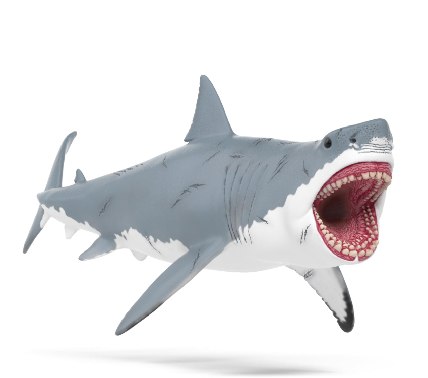 Megalodon