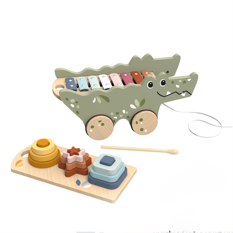 Croco Xylo & Activity Pull Along