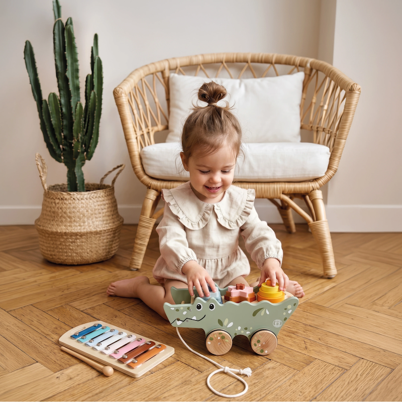 Croco Xylo & Activity Pull Along