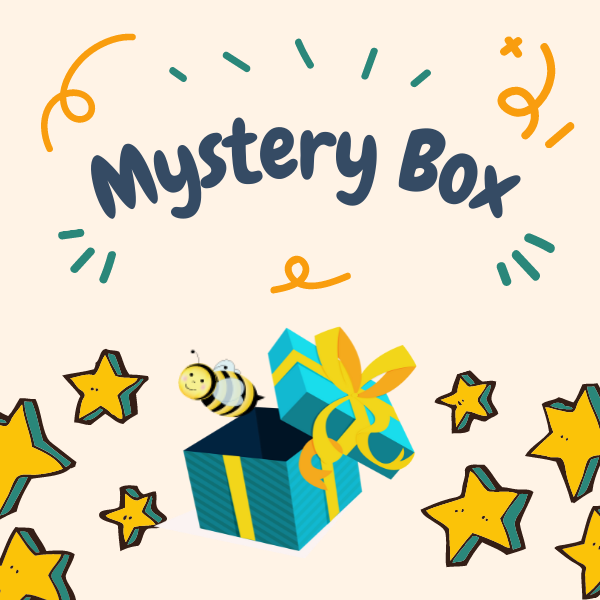 Mystery Box of Fun! — Busy Bee Toys