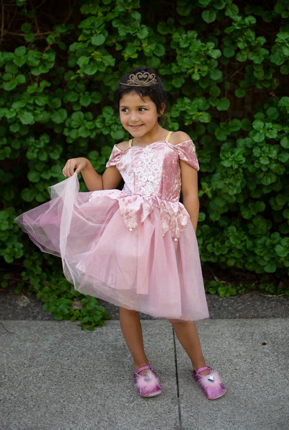 Prima Ballerina Dress, Dusty Rose, Size 3-4