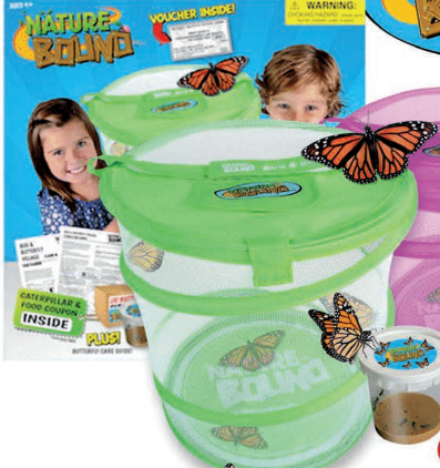 Nature Bound Bug & Butterfly Kit — Busy Bee Toys