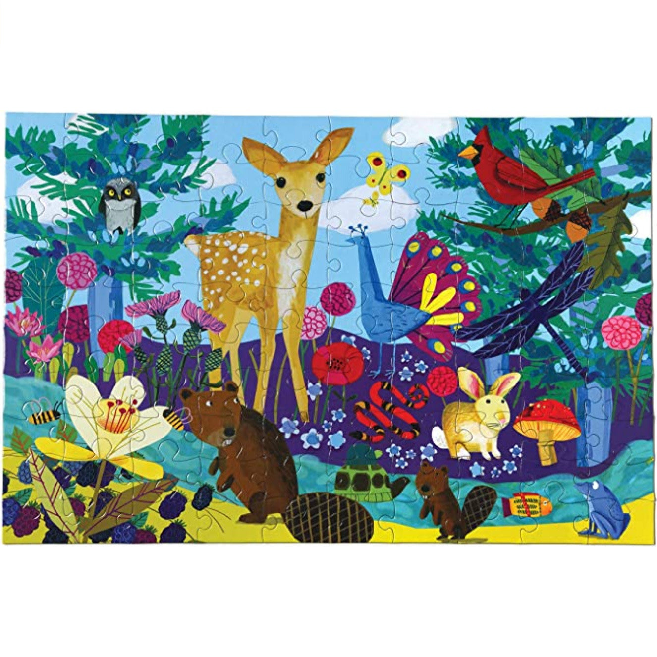 Life on Earth 100 Pc Puzzle