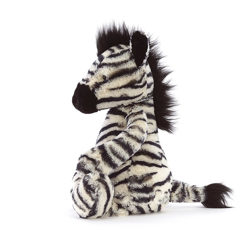 Medium Bashful Zebra