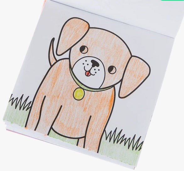 Pet Pals Carry Along Crayon & Coloring Book Kit