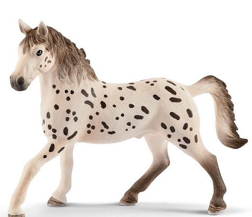 Knapstrupper Stallion