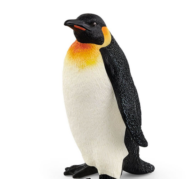 Emperor Penguin