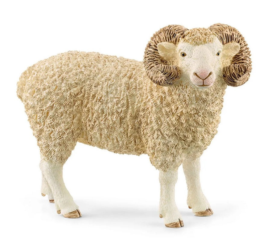 Ram