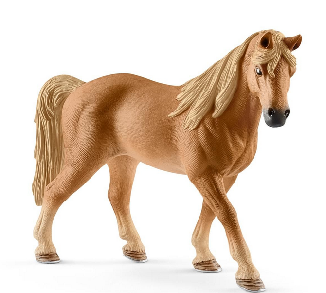 Tennessee Walker Mare