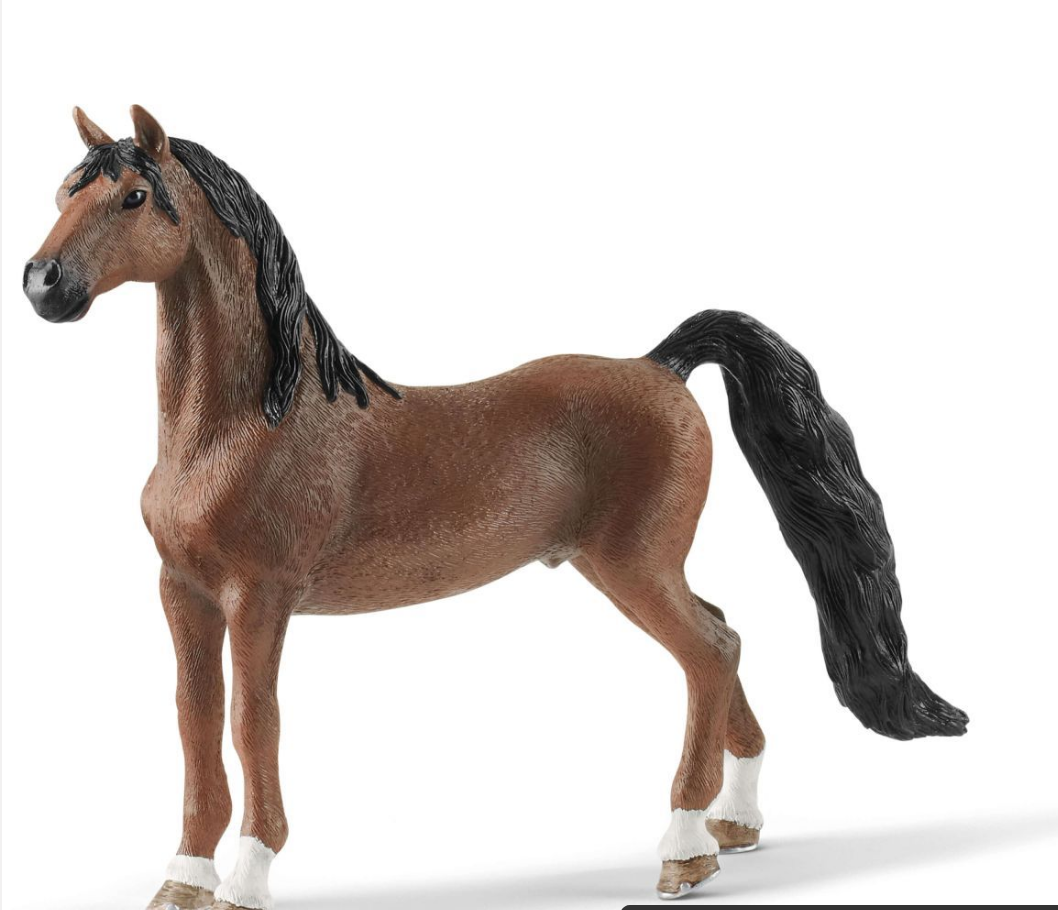 American Saddlebred Gelding